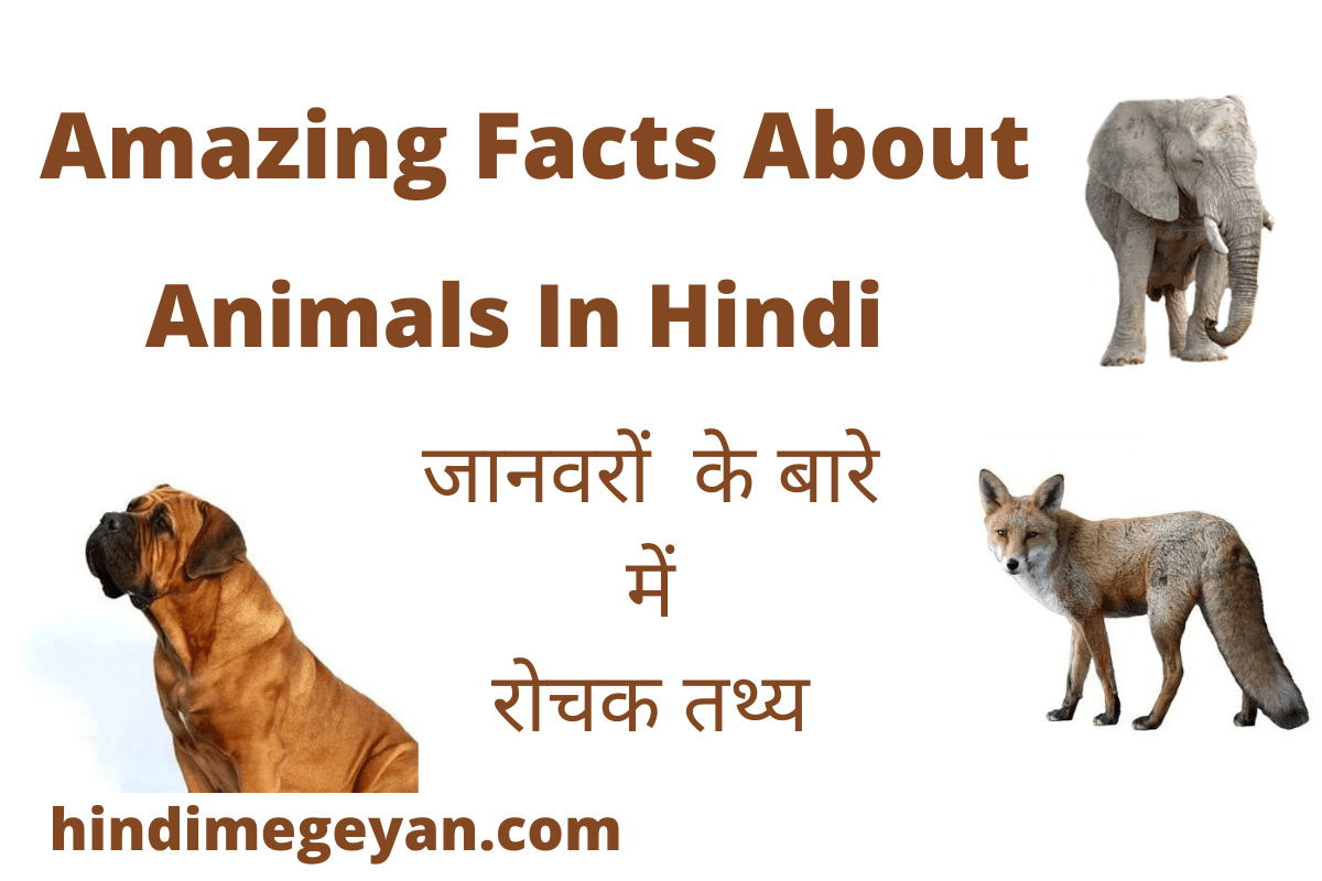 20 जानवरो के बारे में रोचक तथ्य Amazing Facts About Animals In Hindi