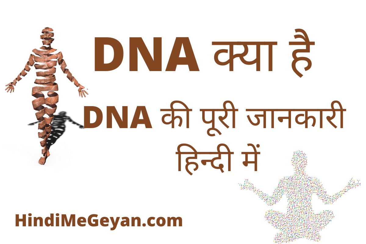 DNA Full Form in Hindi | डीएनए क्या होता हैं? पूरी जानकारी हिन्दी में