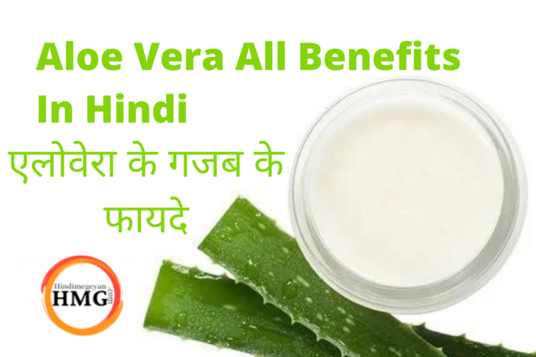 What is Aloe Vera in Hindi